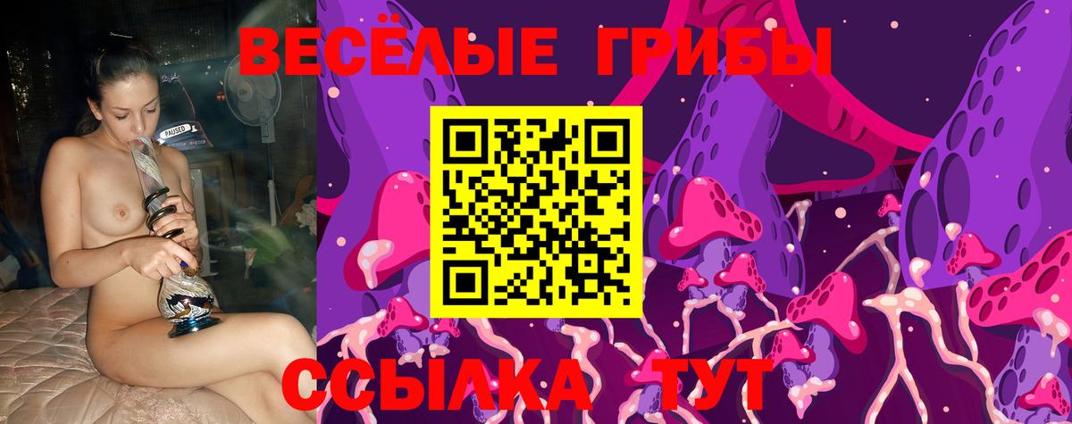 Галлюциногенные грибы мухоморы Магадан