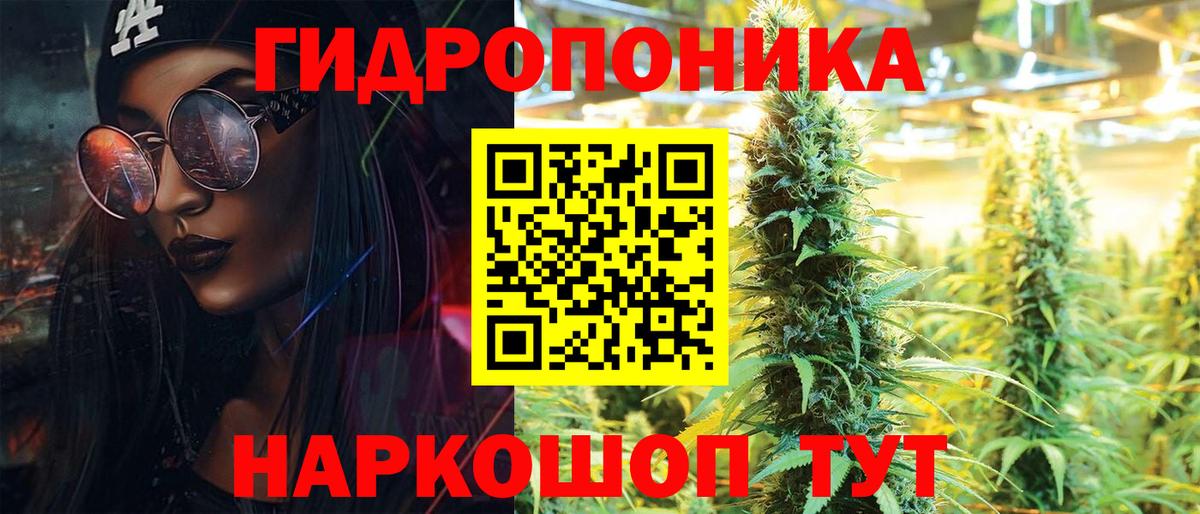 Каннабис конопля Магадан